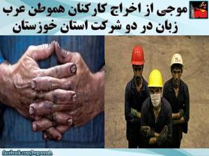 11219412_450469998446578_1092865990210708409_n