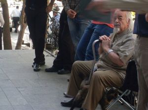 11220811_10152711162522271_4529643950684202446_n