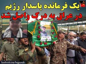 11227563_461297927363785_6678859579628878031_n