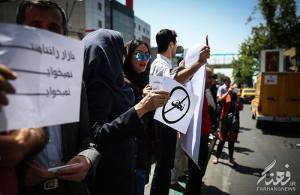 11244909_452377398255838_8463109576370506769_n