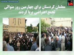 11252106_453747254785519_1570622098509977021_n