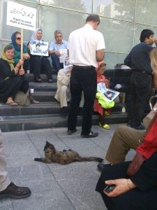 11265423_10152711162547271_3860096568852872668_n