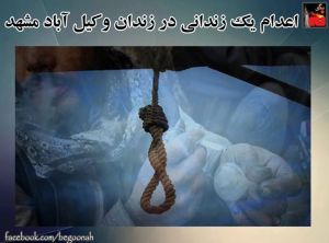 11295692_454136641413247_6804579915643517468_n