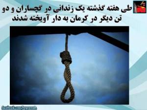 11351171_460716927421885_2669993438797058050_n