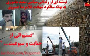 11377134_460500954110149_2494375605487897180_n