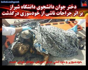 1509836_452276741599237_5856602715636660563_n