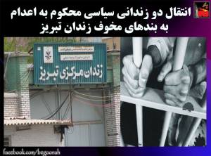 20490_449989418494636_2207929439461098161_n