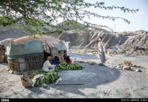 10346270_469595013200743_378407969189541077_n