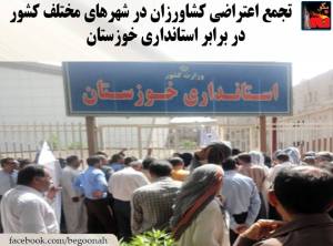 10484725_469816663178578_7771153122385753677_n