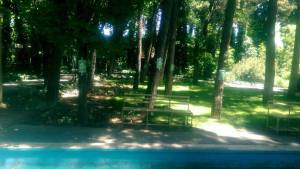 10494836_469108139916097_8015648112737077850_n