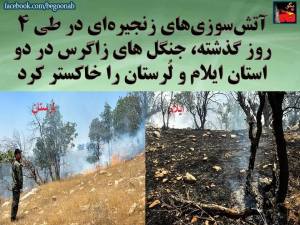 11053611_465225473637697_4984593456330532055_n