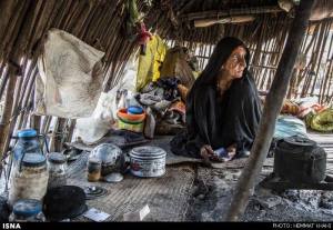 11180608_469595576534020_8920427646149482278_n