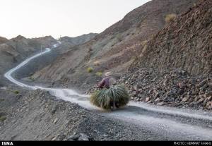 11223819_469595126534065_2189087668993454694_n