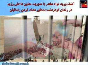 11225176_473823166111261_4647673156550858835_n