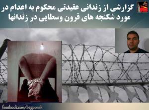 11227563_464748173685427_1054529371596329013_n