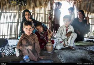 11400976_469595666534011_7259376364529963555_n