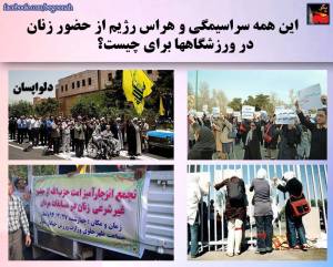 11401189_468863953273849_9056020185952490141_n