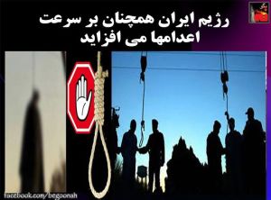 11412100_465116276981950_3135169919385696333_n