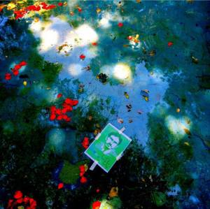 11427177_469108236582754_5215235515919753156_n