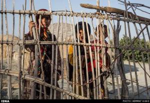 11535667_469595129867398_1726904849753829588_n