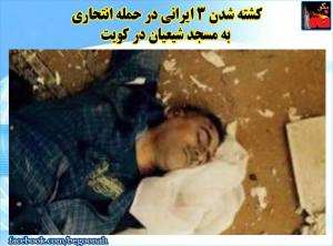 11539746_473005459526365_5307152362409096004_n