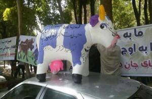 1379519_468479339978977_2409533805819811163_n