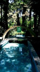 1467389_469108373249407_7280441692038629862_n