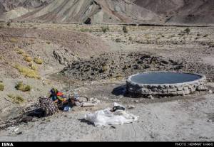 1533872_469595693200675_8460107925508081554_n