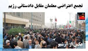 11403372_474284112731833_7618354673536185155_n