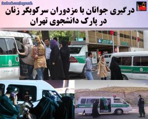 11696022_484461415047436_1946807082989490255_n