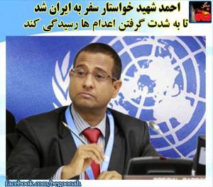 11705146_481222835371294_236569870321598256_n