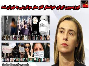 11745608_484966938330217_2322127026106722478_n