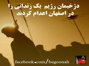 11745906_483662305127347_2286059591217408278_n