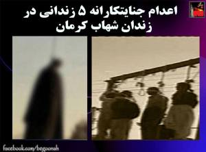 11781651_486191534874424_235491720532161292_n