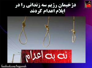 11781796_484449498381961_871233112380647640_n