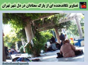 11816864_485233281636916_5834751599889603668_n