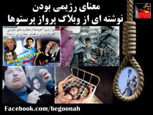 16129_481397885353789_3339355644517686101_n