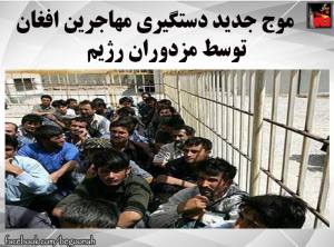 11028006_491708404322737_1407523793576983016_n