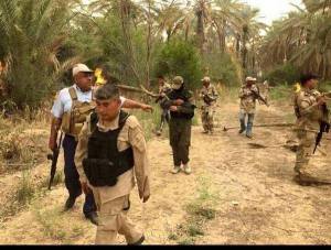 11052408_496285620531682_5476157660120838765_n