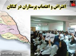 11058395_496864077140503_466646357803914416_n