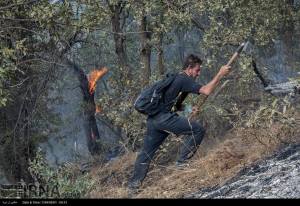 11204953_496507647176146_4709426795925508997_n