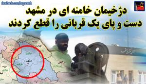 11205087_487597864733791_237401319632654548_n