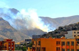 11222622_493230960837148_4299098559138925172_n