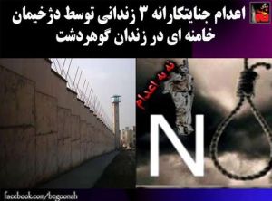 11223528_491220004371577_6239705507971450614_n