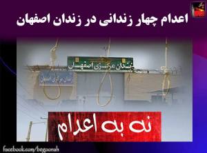 11224464_486419008185010_6810417117595737838_n