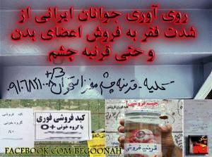 11225165_491066101053634_4573480732091964122_n