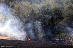 11781651_486423051517939_535930993834164063_n