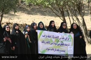 11781663_486421671518077_8287694549152556052_n