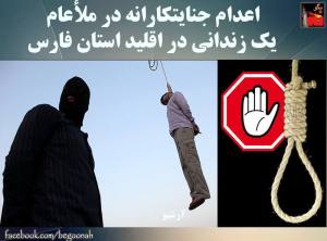 11813372_487528921407352_8975020542192620274_n