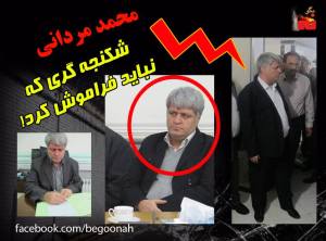 11817264_488237671336477_4981021109882662734_n